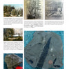 A collage from Schiffer Publishing, Ltd.'s "Paleozoic Fossil Plants" shows ancient landscapes, fossilized ferns in rock, and a penny for scale, illustrating the evolution of coal swamp vegetation through the fossil record.