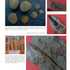Paleozoic Fossil Plants by Schiffer Publishing, Ltd. features a collage highlighting the rich fossil record and showcasing ancient Paleozoic plants alongside intriguing artifacts and tools.