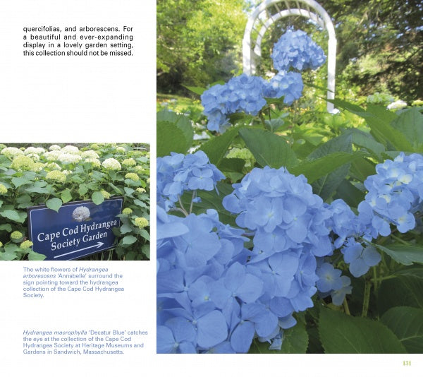 Heavenly Hydrangeas by Schiffer Publishing, Ltd. showcases vibrant blue hydrangeas and lush green leaves, offering inspiring care tips and stunning scenes—perfect for any home gardener passionate about hydrangeas.