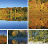 A collage from *Reserves of Strength: Pennsylvania's Natural Landscape* by Schiffer Publishing, Ltd. displays vibrant autumn trees reflected in a calm lake under a clear blue sky, with descriptive text on the right.