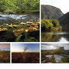Reserves of Strength: Pennsylvania's Natural Landscape by Schiffer Publishing, Ltd. features a collage of PA nature photography—forest streams with mushrooms, autumn rivers by mountains, and open landscapes beneath blue skies. Text appears on the right.