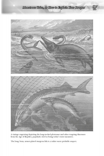 Two black-and-white vintage engravings from "Great Lakes Folklore" by Schiffer Publishing, Ltd. show a plesiosaur battling sea creatures above and two armored sturgeon near a fishing net below—evoking Lake Erie monster legends.