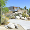 A modern house with large windows and desert landscaping evokes classic mid-century style on the cover of "Palm Springs" by Schiffer Publishing, Ltd.—a scene reminiscent of the region’s iconic postcard views.