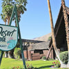 A green and white Desert Lodge Vacancy sign stands amid palm trees and mid-century modern architecture, evoking classic Palm Springs vibes. Featured in Palm Springs by Schiffer Publishing, Ltd., under a clear sky.