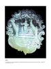 The Mother-of-Pearl Antiques and Collectibles by Schiffer Publishing, Ltd. features a carved shell showing a medieval minstrel with a lute on ornate stairs, surrounded by intricate floral designs.
