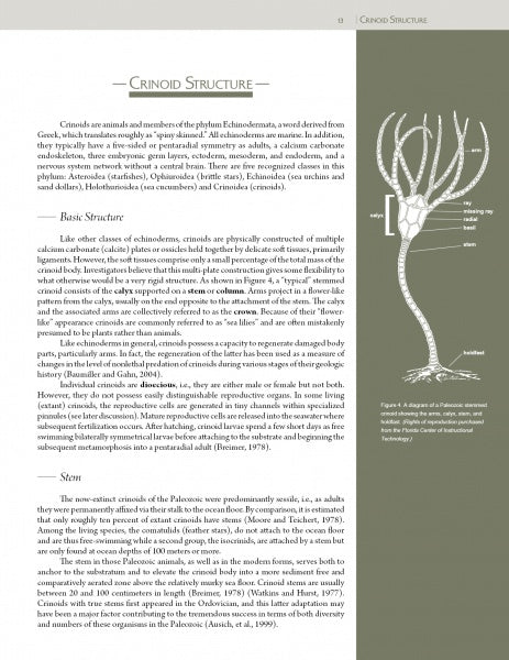The Collector's Guide to Crawfordsville Crinoids by Schiffer Publishing, Ltd. features labeled diagrams showing arms, pinnules, calyx, stem, and holdfast, plus clear sections on basic structure and Mississippian Age fossils.