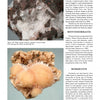 The Collector's Guide to the Zeolite Group by Schiffer Publishing, Ltd. features photos of fibrous mesolite in brown basalt and peachy, radiating pectolite, alongside info about zeolite minerals for collectors.