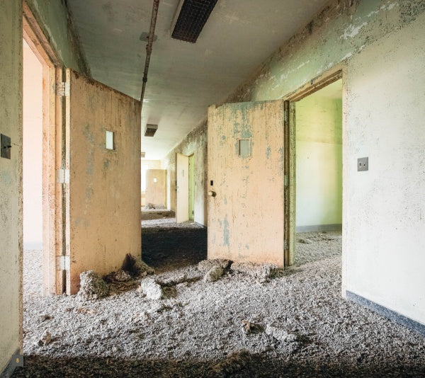 Abandoned NYC by Schiffer Publishing, Ltd. captures the haunting beauty of deserted hallways, open doors, and peeling paint, perfect for urban exploration fans and anyone fascinated by New York’s mysterious ruins.