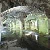 The haunting beauty of abandoned places is captured in "Abandoned NYC" by Schiffer Publishing, Ltd., featuring arched stone corridors with mossy, wet floors and streaks of light, evoking a damp, deserted atmosphere.