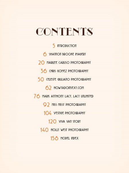 Chocolate Cheesecake by Schiffer Publishing, Ltd. features a stylish table of contents listing intros and modern pin-up photography, celebrating Black pin-up beauty, and concludes with a model index on page 158.