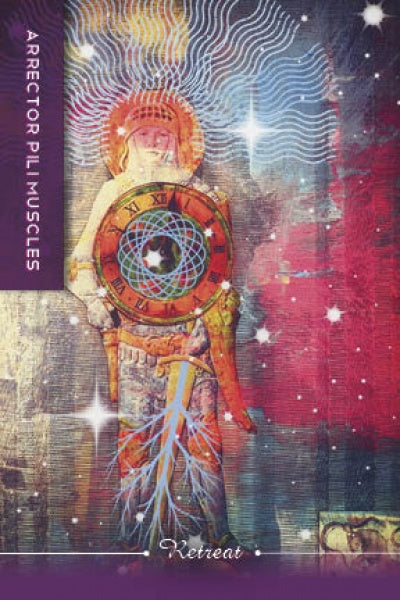 A mystical figure holds a colorful clock with roots, surrounded by radiant lines and white stars. Inspired by Body Cards from Schiffer Publishing, Ltd., the image features “ARRECTOR PILI MUSCLES” and “Retreat.”.
