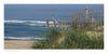 Cape Cod along the Shore by Schiffer Publishing, Ltd. captures the tranquil beauty of the Cape Cod shoreline with sandy beaches, tall grasses, and gentle blue waves—perfect for lovers of coastal photography.