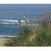 Cape Cod along the Shore by Schiffer Publishing, Ltd. captures the tranquil beauty of the Cape Cod shoreline with sandy beaches, tall grasses, and gentle blue waves—perfect for lovers of coastal photography.