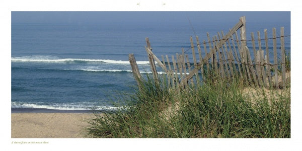 Cape Cod along the Shore by Schiffer Publishing, Ltd. captures the tranquil beauty of the Cape Cod shoreline with sandy beaches, tall grasses, and gentle blue waves—perfect for lovers of coastal photography.