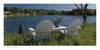 Cape Cod along the Shore" by Schiffer Publishing, Ltd. features two white Adirondack chairs and a small table with a potted plant, overlooking a tranquil lake on the Cape Cod shoreline beneath a clear blue sky.