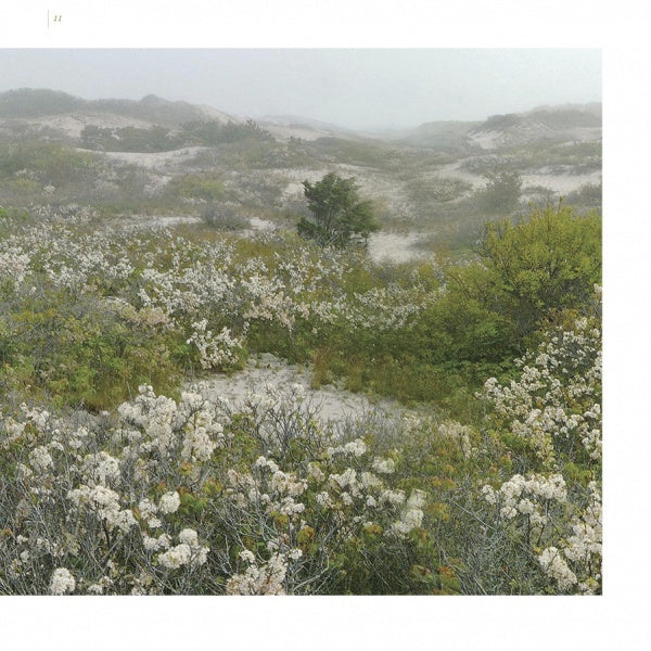 Capture Cape Cod's serene beauty with "Cape Cod along the Shore" by Schiffer Publishing, Ltd.—a misty landscape of rolling dunes, green shrubs, and white flowers, ideal for Cape Cod photography enthusiasts.