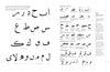 In "An Introduction to Arabic Calligraphy" by Schiffer Publishing, Ltd., a two-page spread displays handwritten Arabic letters—isolated on the left, grouped by shape on the right—with English text explaining key calligraphy styles.