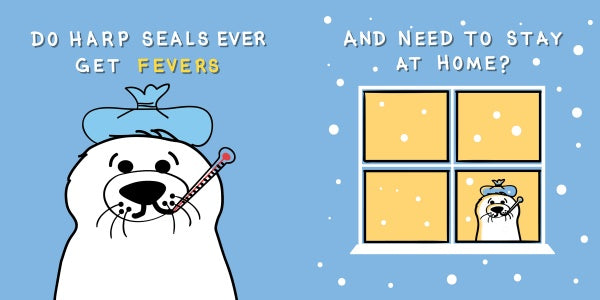 A sick cartoon harp seal with an ice pack and thermometer gazes out at snow on the cover of "Do Penguins Have Pediatricians?" from Schiffer Publishing, Ltd., asking if harp seals ever get fevers and stay home like other polar animals.