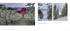 Discover “Oregon” by Schiffer Publishing, Ltd.—fine-art photos capturing red barns, blooming orchards, snow-capped peaks, tall waterfalls under bridges, and the natural beauty of Oregon travel and photography.