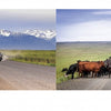 A split image from "Oregon" by Schiffer Publishing, Ltd.: Left, a motorcyclist and sidecar head toward snowy peaks; right, cattle block a rural road—fine-art photos reflecting Oregon’s adventurous travel spirit.