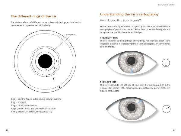 Health through Your Eyes" by Schiffer Publishing, Ltd. features diagrams labeling iris zones for health assessment, illustrating right and left iris areas linked to specific organs according to iridology principles.
