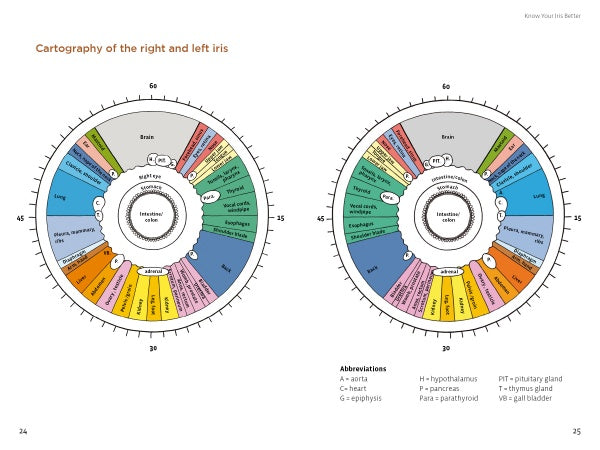 Health through Your Eyes" by Schiffer Publishing, Ltd. uses a circular chart mapping organs and body parts around the iris, visually illustrating iridology for holistic health assessment and iris analysis.