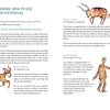 A book spread from "Astrotherapy" by Schiffer Publishing, Ltd. features astrology text, illustrations of a ram, bull, and two people holding hands, plus sidebars on Aries, Taurus, and Gemini traits for personal growth guidance.