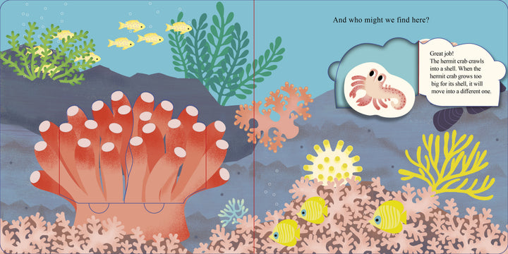 Discover sea animals, vibrant coral, seaweed, three yellow fish, and a hermit crab in a shell with "Who Is Hiding in the Sea?" from Schiffer Publishing, Ltd.—an interactive lift-the-flap board book that explains how hermit crabs change shells as they grow.
