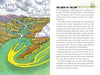 Awesome Chesapeake by Schiffer Publishing, Ltd. features an illustrated map of the bay with labeled rivers (fresh water in) and yellow arrows for salty ocean tides. Text explains its history and formation—ideal for elementary education or ecology books.
