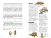 Pages 22–23 of Awesome Chesapeake by Schiffer Publishing, Ltd. feature sketches on tides and seashells, plus colorful illustrations of amphipods, barnacles, and fiddler crabs—Chesapeake Bay creatures—all designed for elementary education.