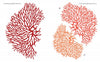 Little Paper Universes by Schiffer Publishing, Ltd. features vibrant coral illustrations—a large red branch on the left and two smaller orange and red corals on the right—perfect for 3-D paper scenes and paper art projects on a white background.