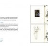 A two-page spread in The Little Drawing Workshop by Schiffer Publishing, Ltd. invites readers to keep a travel journal and practice drawing basics with hand-drawn sketches of fruit, flowers, bees, and more.