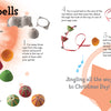 Christmas by Schiffer Publishing, Ltd. is an illustrated step-by-step guide to making jingle bells from painted egg cartons, ribbon, and small bells—perfect for kids' holiday crafts with recycled materials and colorful photos of each stage.
