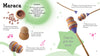 Step-by-step illustrated instructions from Schiffer Publishing, Ltd.'s "Nature" show how to make a maraca with squash, seeds, bamboo, purple clay, and paint. Images highlight materials, painted squash, assembly steps, and decorative touches.