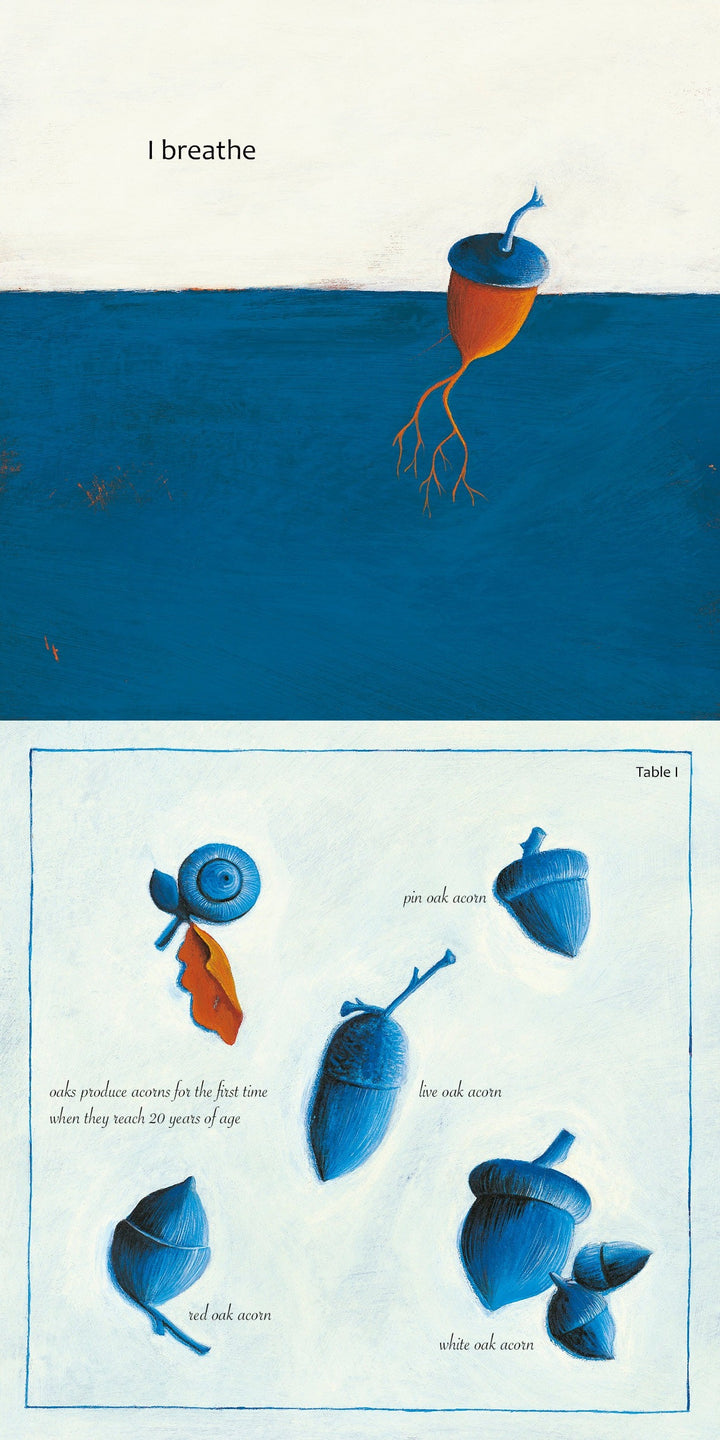 Like a Tree" by Schiffer Publishing, Ltd.: An acorn illustration with roots and “I breathe” above merges poetry and science. Below, four labeled acorns—pin, live, red, white oak—and a note: oaks produce acorns after 20 years.