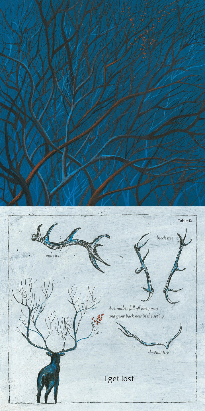 A blue-toned image from Like a Tree by Schiffer Publishing, Ltd. shows tangled branches above; below, a diagram compares deer antlers with oak, beech, and chestnut branches beside a deer and the words I get lost.