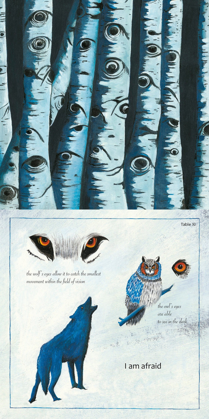 Top: Close-up of birch trunks with dark, eye-like markings. Bottom: Illustrated wolf howling, owl perched nearby, and large eyes. Text from Like a Tree by Schiffer Publishing, Ltd. explores vision in wolves and owls and nature's symmetries; “I am afraid” appears below.