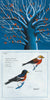 A surreal illustration for "Like a Tree" by Schiffer Publishing, Ltd. shows red birds on white branches above two detailed, upside-down birds. Mirrored text and a blue, white, and red palette evoke the blend of poetry and science.