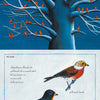 A surreal illustration for "Like a Tree" by Schiffer Publishing, Ltd. shows red birds on white branches above two detailed, upside-down birds. Mirrored text and a blue, white, and red palette evoke the blend of poetry and science.