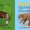 From "P Is for Puffin" by Schiffer Publishing, Ltd.: On the left, an okapi stands on green grass; on the right, a puffin and a pangolin appear on blue with text and pronunciation guides.