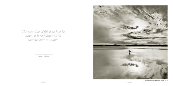 Healing Power of Water" by Schiffer Publishing, Ltd. features striking water photography in black and white, including an image of two people walking under dramatic clouds and an inspiring quote from Alan Watts.