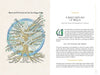 On the left, a hand-drawn Neo-Pagan Tree diagram labeled Roots and Branches illustrates Wicca's origins. On the right, text introduces “A Brief History of Wicca,” Chapter One from Schiffer Publishing’s *An Illuminated Guide to Wicca*.
