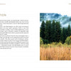 A landscape photographer with a tripod stands in a grassy field amid pine trees and autumn foliage, mist rising over the Pacific Northwest forest. The left page introduces "Back Roads of the Pacific Northwest" by Schiffer Publishing, Ltd.