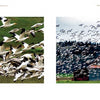 In the left image from Back Roads of the Pacific Northwest by Schiffer Publishing, Ltd., white birds fly over grass; in the right, a photographer captures birds above a rustic red-roofed barn with farm equipment outside.