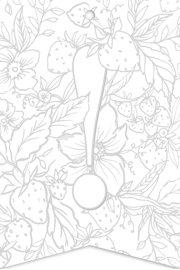 An outline of strawberries, leaves, and flowers forms the background with a bold exclamation mark in front. The monochrome design by Schiffer Publishing, Ltd.'s Paint-Your-Own Watercolor Garland is perfect for customizable celebrations or DIY projects.