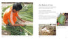 A person weaves a basket from green palm leaves, surrounded by fronds. Insets show a hand holding a woven basket and a square container. Text describes techniques from "Weaving with Strips" by Schiffer Publishing, Ltd.