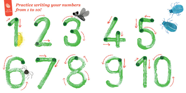 In 1, 2, 3, Lili's Counting by Schiffer Publishing, Ltd., green numbers with red arrows guide handwriting; insects like a fly near 3 and beetles by 2 and 4 appear. Fingerprint art and top text make counting and writing fun!.