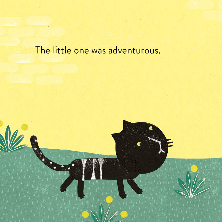 A cartoon cat inspired by Rocío Alejandro’s playful style, designed for Schiffer Publishing, Ltd.'s "Brothers" children’s book exploring sibling relationships.