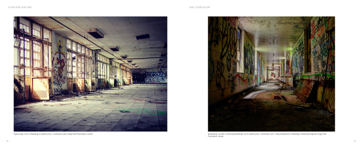 A Vanishing New York by Schiffer Publishing, Ltd. showcases photos of abandoned spaces—from a sunlit, debris-filled hall to a shadowy corridor where sunlight and plants breathe new life into these forgotten landmarks.