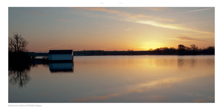 A tranquil lake at sunset near a boathouse captures Maryland's Eastern Shore, featured in "Maryland's Eastern Shore" by Schiffer Publishing, Ltd., highlighting the beauty of Blackwater National Wildlife Refuge.